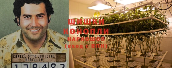гашиш Касимов